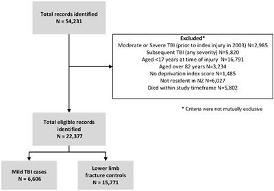 Mild traumatic brain injury increases engagement in criminal behaviour 10 years later: a case–control study